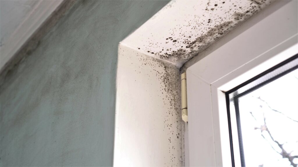 Moisissures noires autour d'un cadre de fenêtre dues à la condensation