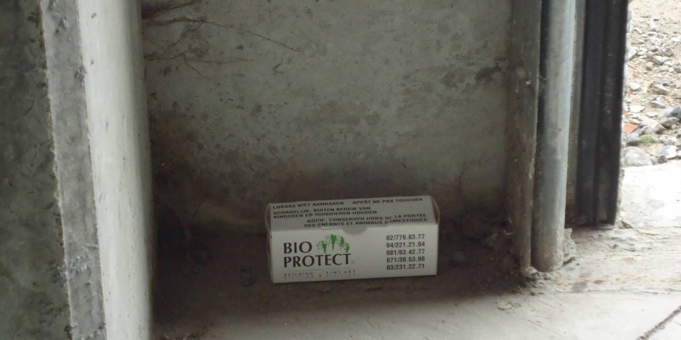 Dératisation Bio Protect